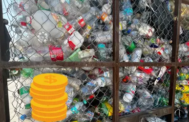 Estos materiales son los mejores para reciclaje en Durango desde casa