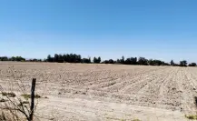 Sequía en Durango empieza a ceder ante las lluvias; en este porcentaje se ha reducido