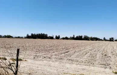 Sequía en Durango empieza a ceder ante las lluvias; en este porcentaje se ha reducido