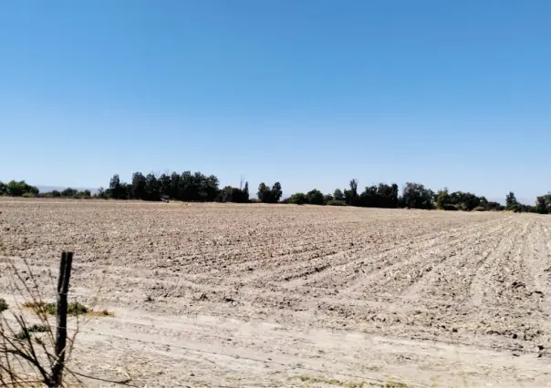 Sequía en Durango empieza a ceder ante las lluvias; en este porcentaje se ha reducido