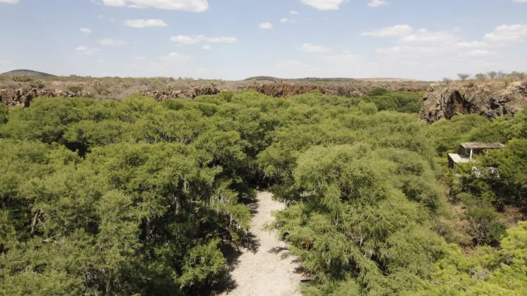El río oculto en la sierra de Durango que da vida a un increíble paraje turístico