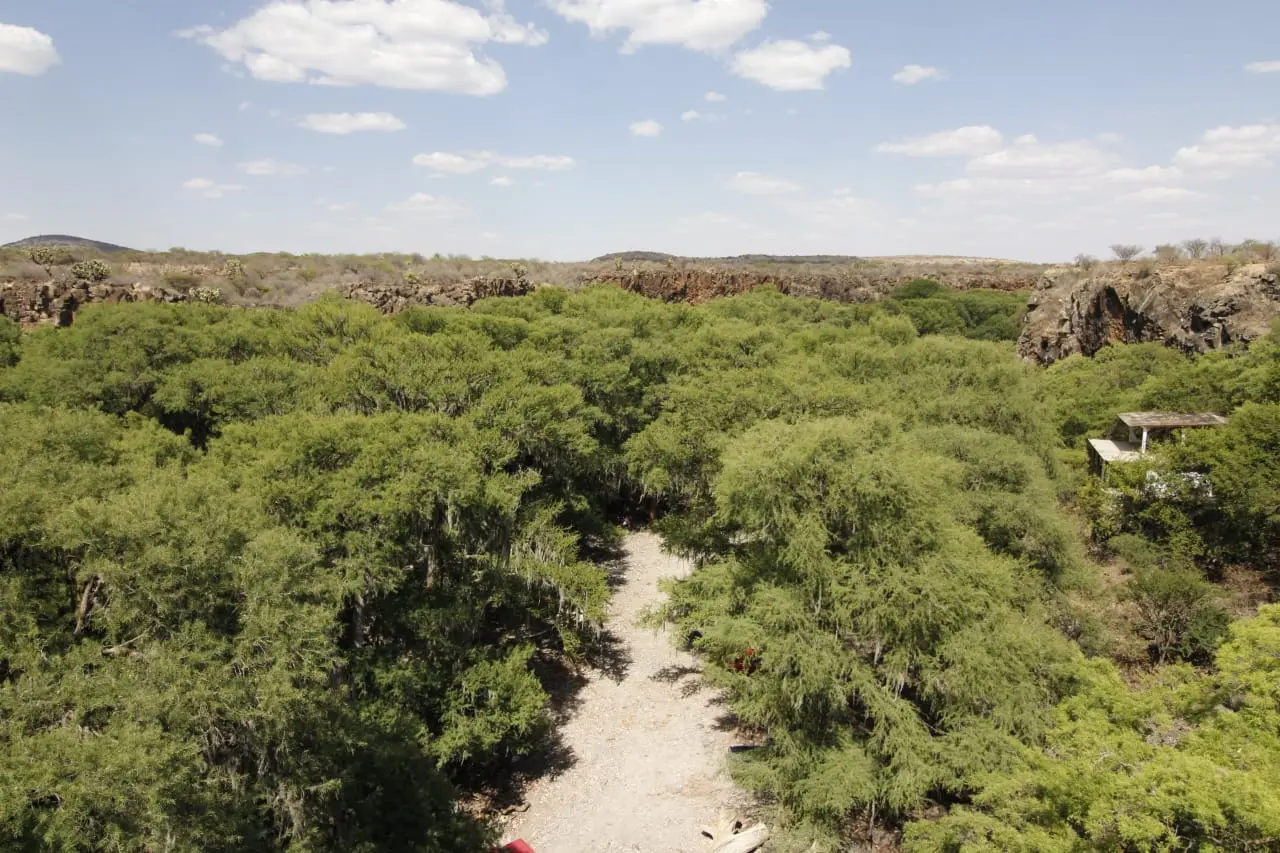 Foto: Gerardo Lares | Este es el paraje turístico que es un río oculto en la sierra de Durango.