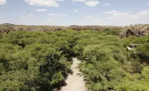 El río oculto en la sierra de Durango que da vida a un increíble paraje turístico
