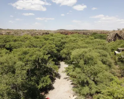 El río oculto en la sierra de Durango que da vida a un increíble paraje turístico