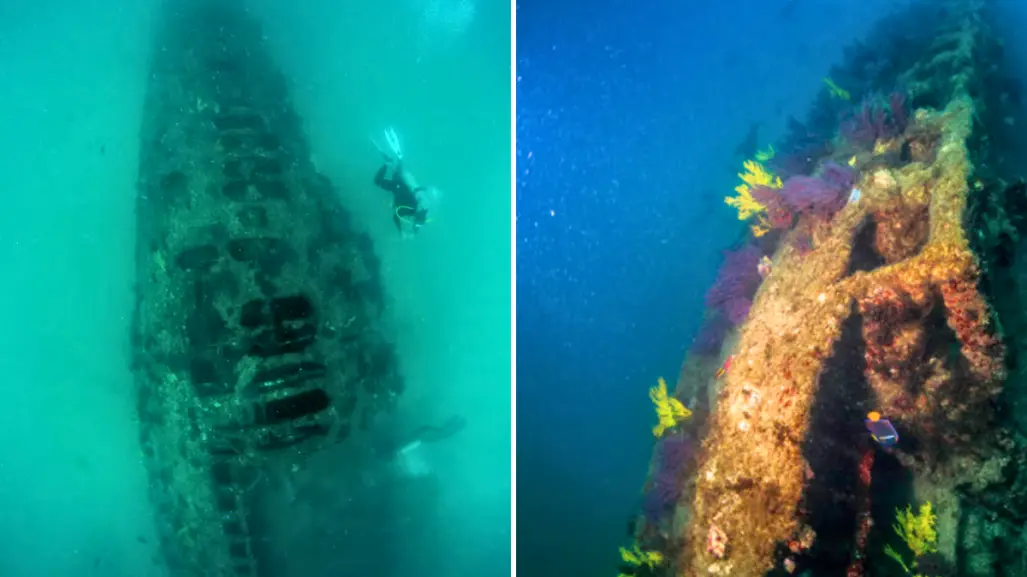 Un submarino de la Primera Guerra Mundial yace frente a las costas de BCS: esta es su historia