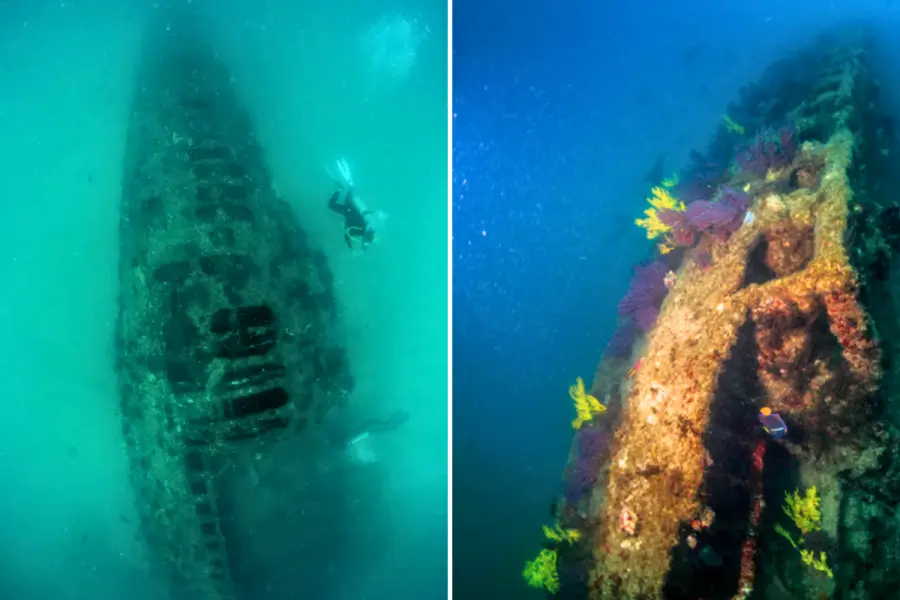 Un submarino de la Primera Guerra Mundial yace frente a las costas de BCS: esta es su historia
