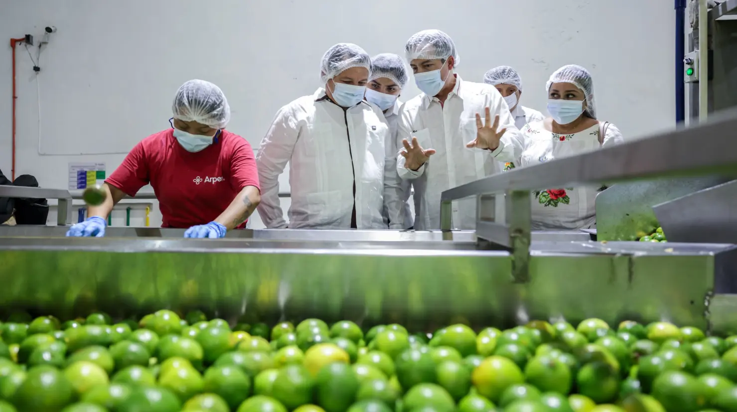 ¿Por qué es tan importante la Juguera de Akil para el campo yucateco? Foto: Cortesía