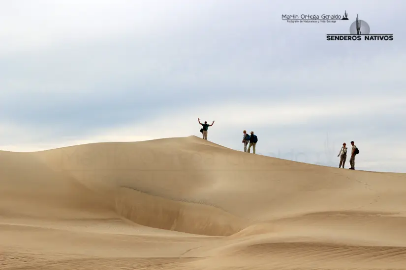 Foto: Wiloc.