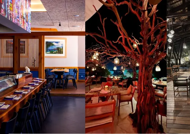 3 lugares con comida asiática en Los Cabos que vale la pena visitar