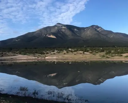 ¿Qué ave representa a Coahuila? Esta especie es símbolo del estado