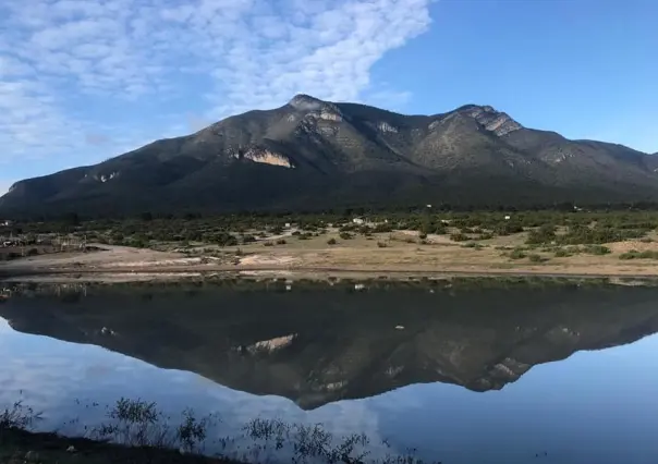 ¿Qué ave representa a Coahuila? Esta especie es símbolo del estado