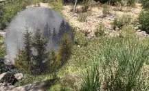 ¿Irás al bosque de Durango? Estas 3 herramientas te serán muy útiles durante tu estancia