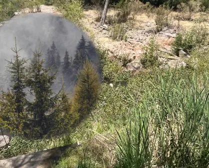 ¿Irás al bosque de Durango? Estas 3 herramientas te serán muy útiles durante tu estancia