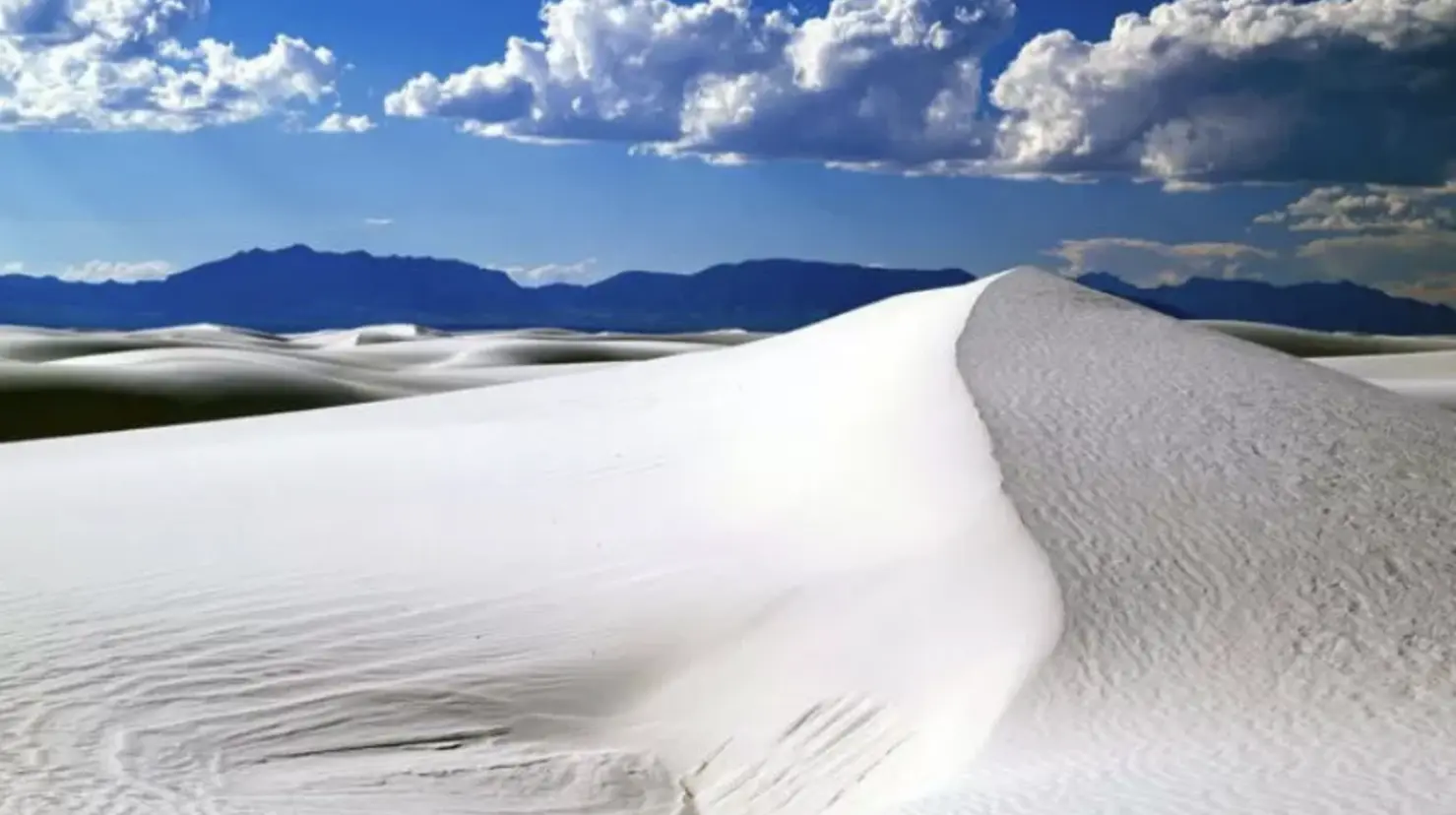Dunas de Coahuila. Foto de más de MX.