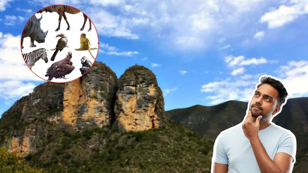 Este es el animal nativo de Nuevo León que se defiende con púas y vive en los árboles