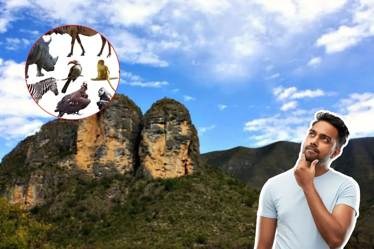 El puercoespín mexicano forma parte de la biodiversidad que caracteriza al noreste del país. Foto: Canva