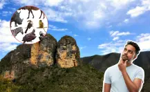 Este es el animal nativo de Nuevo León que se defiende con púas y vive en los árboles