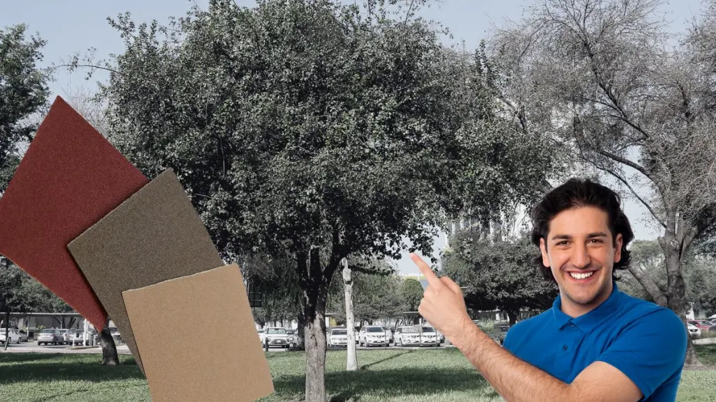 Este es el árbol nativo de Nuevo León que es utilizado como lija natural