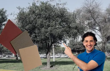 Este es el árbol nativo de Nuevo León que es utilizado como lija natural