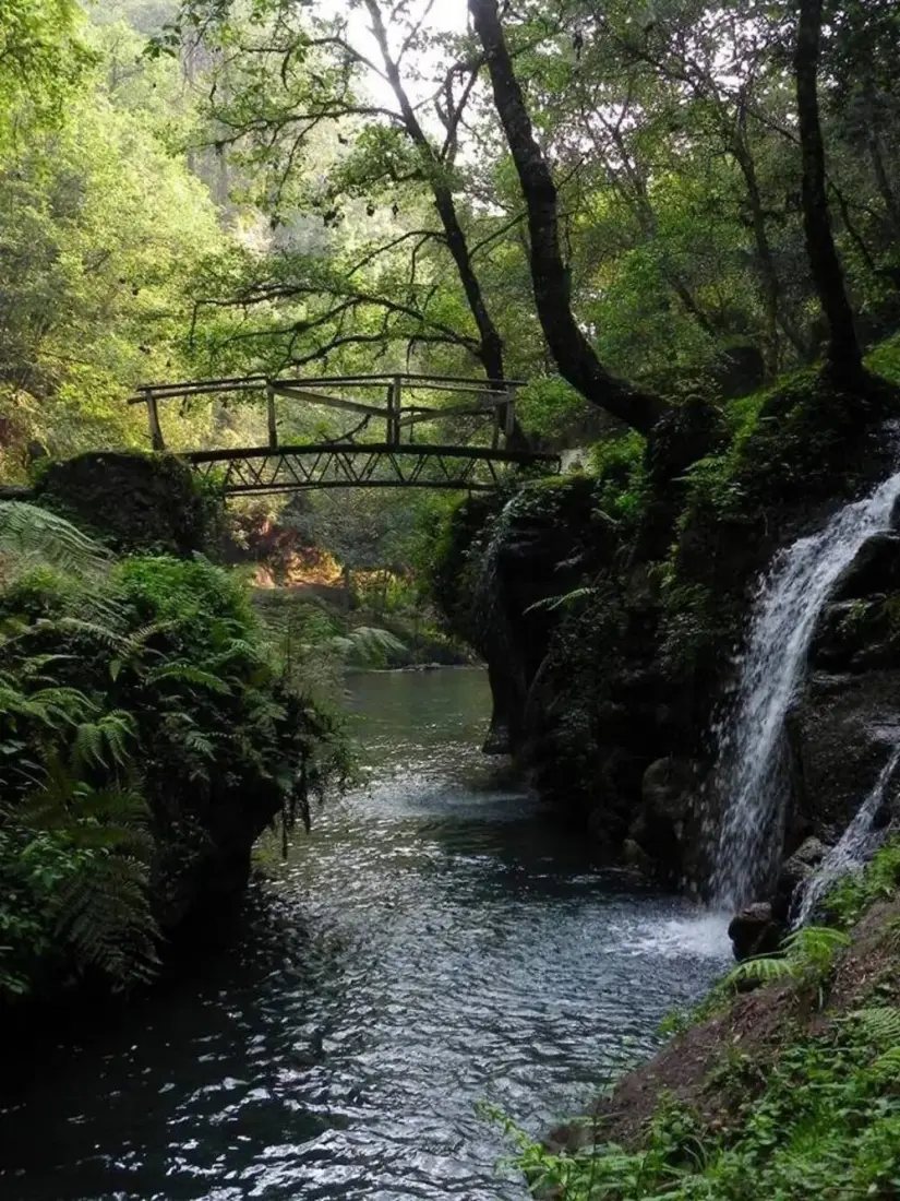 Foto: Facebook Ancho Poza Reserva