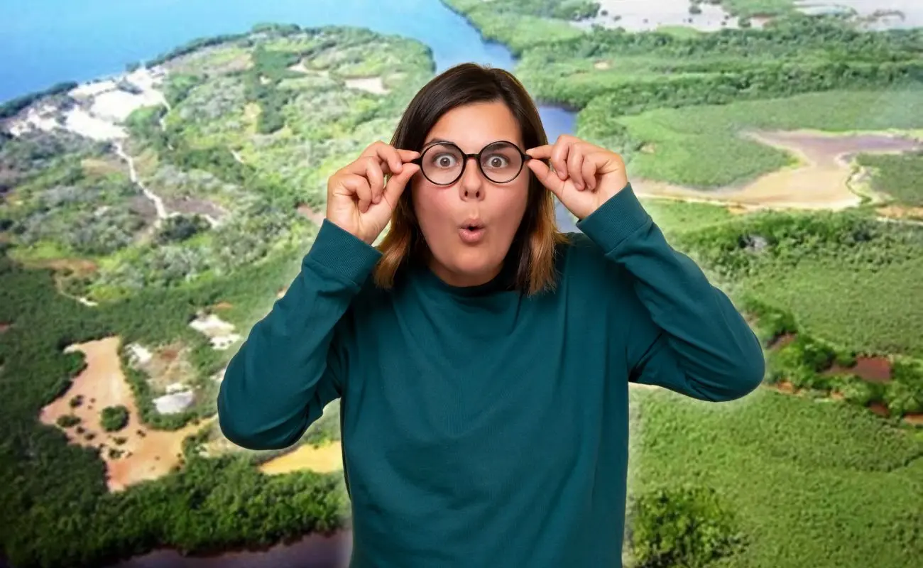 ¿Dónde se encuentra la isla de Jaina y cómo se construyó? Foto: INAH | Canva
