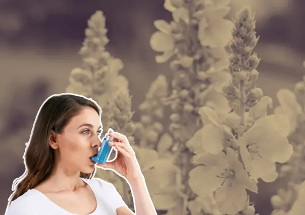 La planta nativa de Nuevo León que ayuda a tratar el asma