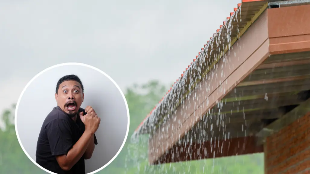 ¿Llovió y acabas de impermeabilizar? 3 consejos prácticos sacarán del apuro