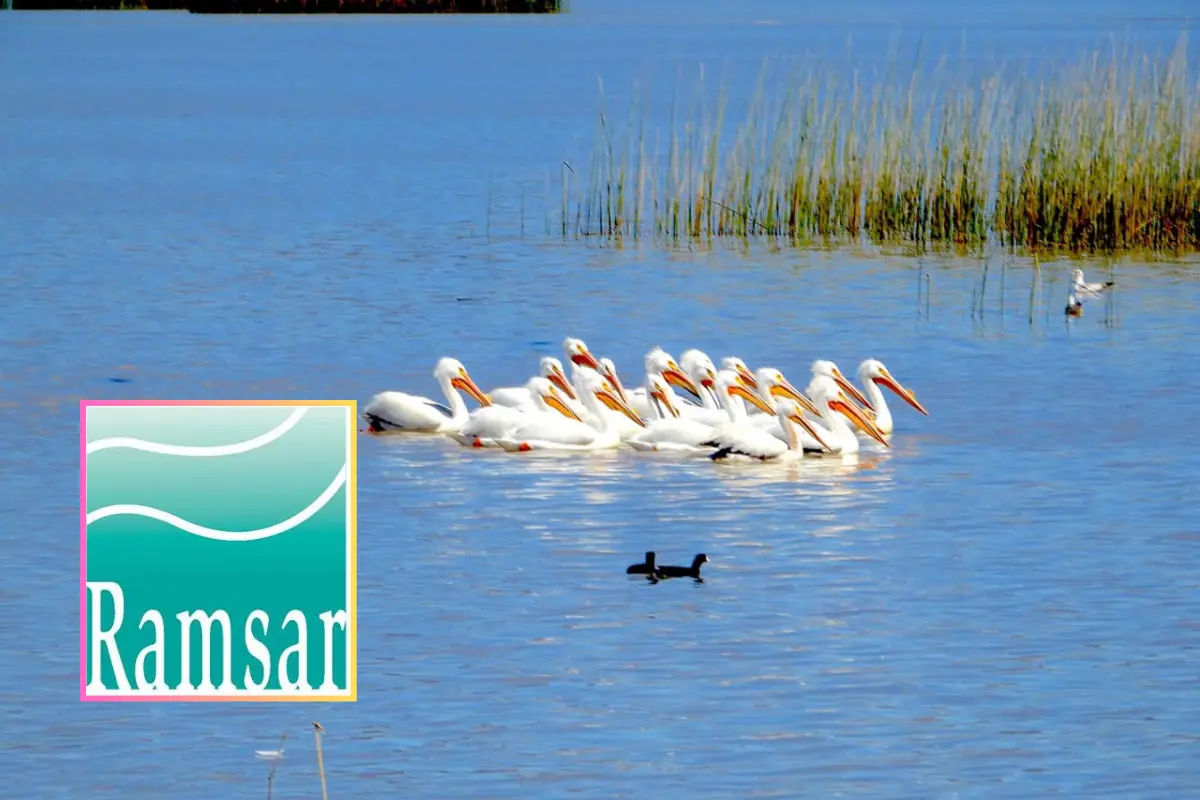 Esta laguna está clasificada como sitio Ramsar desde el 2012. Foto: Luis Alfredo Rangel.
