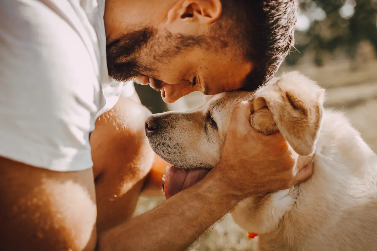 El día de tu perro es la ocasión perfecta para demostrarle amor con actividades y sorpresas que disfrutarán juntos. Foto: Canva
