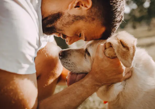 5 maneras de festejar a tu lomito el Día del Perro 2025