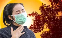¿Qué tanto afectará el calor la calidad del aire en Monterrey?