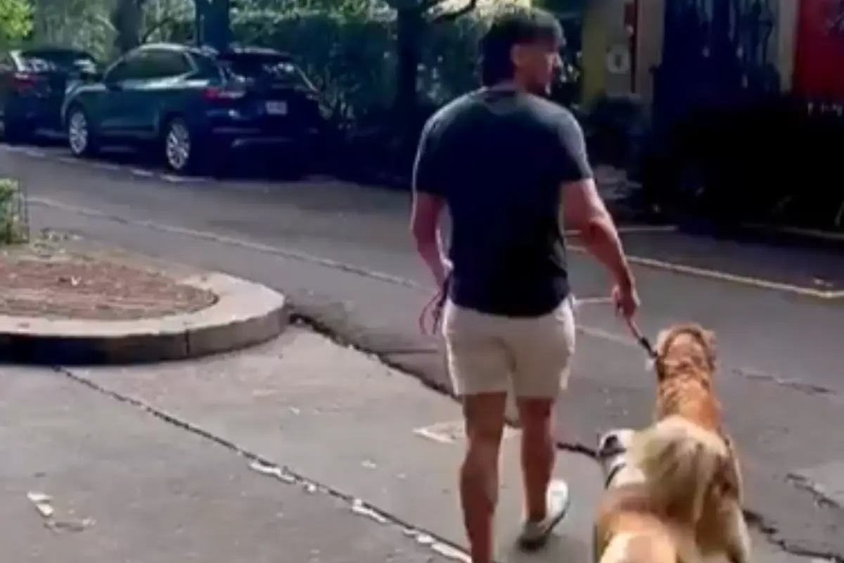 Extranjero que deja heces de su perro en la calle. Foto: captura de pantalla @@LaVozHipodromo | Canva