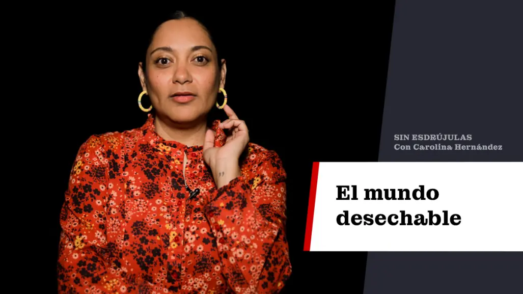 El mundo desechable