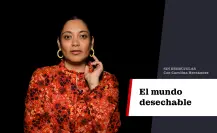 El mundo desechable