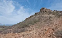 Esta especie sigilosa de Coahuila enfrenta amenazas