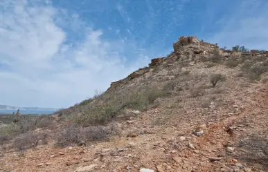 Esta especie sigilosa de Coahuila enfrenta amenazas