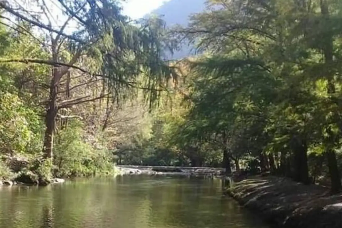 Parque ecológico los troncones