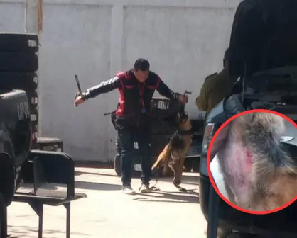 Policía Municipal de Chimalhuacán es señalada por posible maltrato a binomios caninos