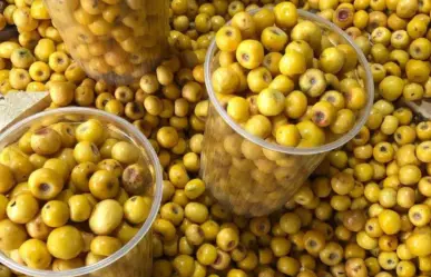 El nanchi silvestre: fruto nativo de El Mante que resiste al olvido