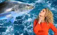 Este pez gigante solo vive en el Golfo de California y está al borde de la extinción