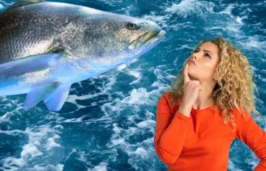 Este pez gigante solo vive en el Golfo de California y está al borde de la extinción