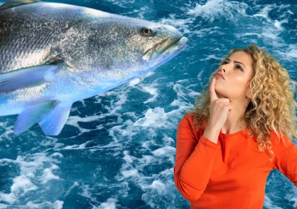 Este pez gigante solo vive en el Golfo de California y está al borde de la extinción