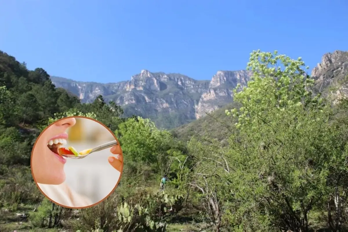 El Cañón de San Judas, en el Parque Ecológico La Huasteca, es una de las rutas más sorprendentes para practicar senderismo en Nuevo León. Foto: Cortesía / CANVA