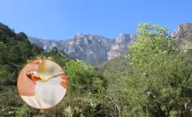 Estos restaurantes puedes disfrutar después de una buena caminata cerca del Cañón de San Judas