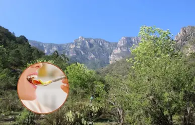 Estos restaurantes puedes disfrutar después de una buena caminata cerca del Cañón de San Judas