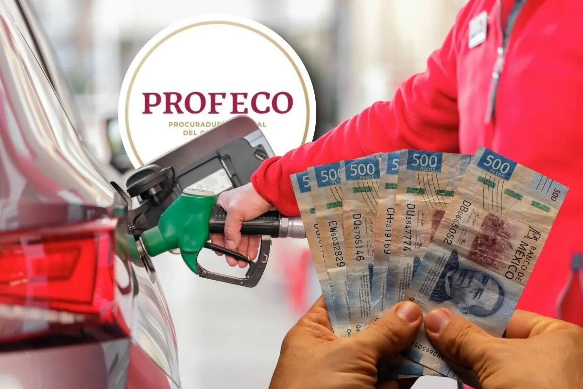 Saltillo destaca como una de las ciudades con la gasolina más cara de México / Foto: Profeco | Canva