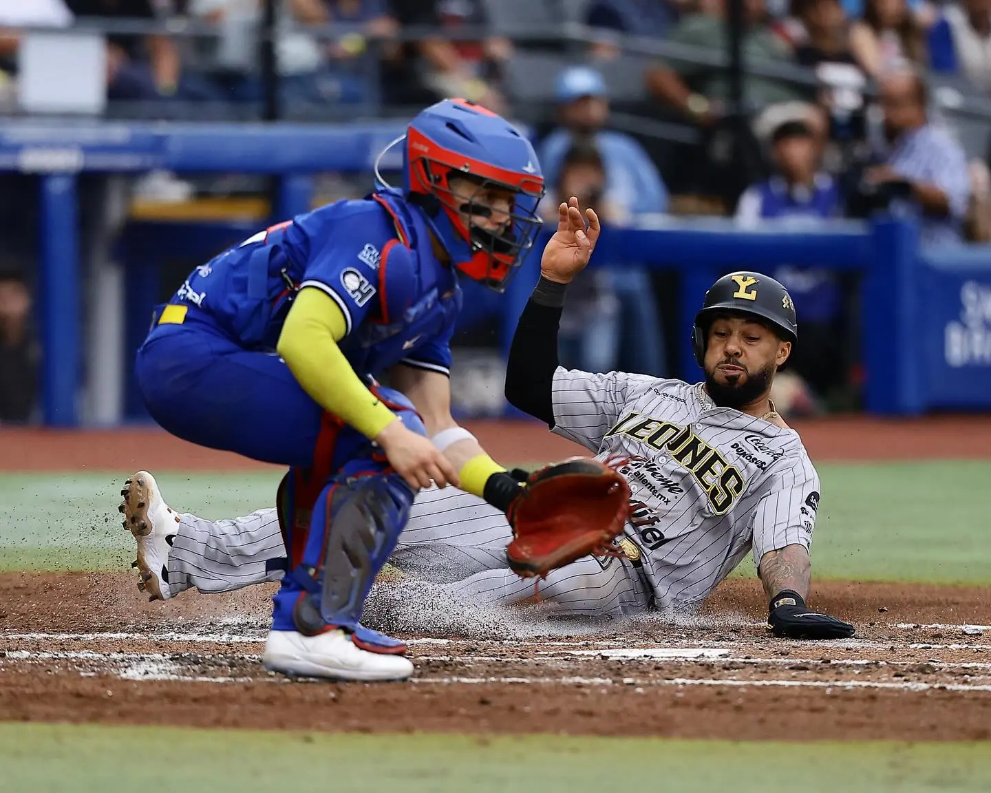 Los Leones de Yucatán terminaron ganando el último duelo de la serie ante los Charros de Jalisco en jornada dominical.- Fuente Leones de Yucatán