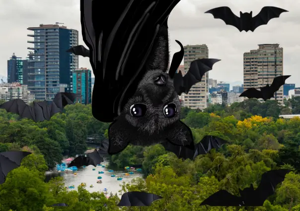 ¿Sabías que en la CDMX viven 23 especies de murciélagos?