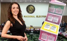 INE cierra los ojos ante el fraude