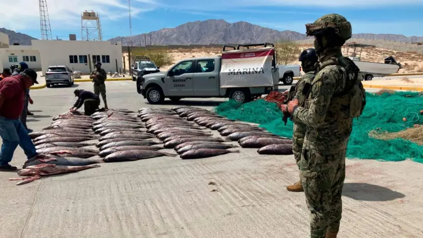 Foto: Secretaría de Marina